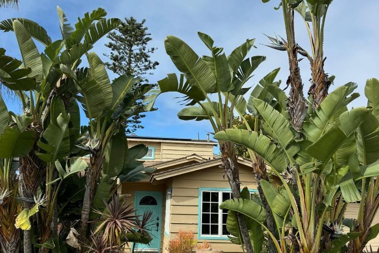House in Carlsbad