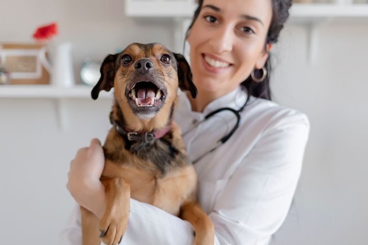 Veterinarian and her dog