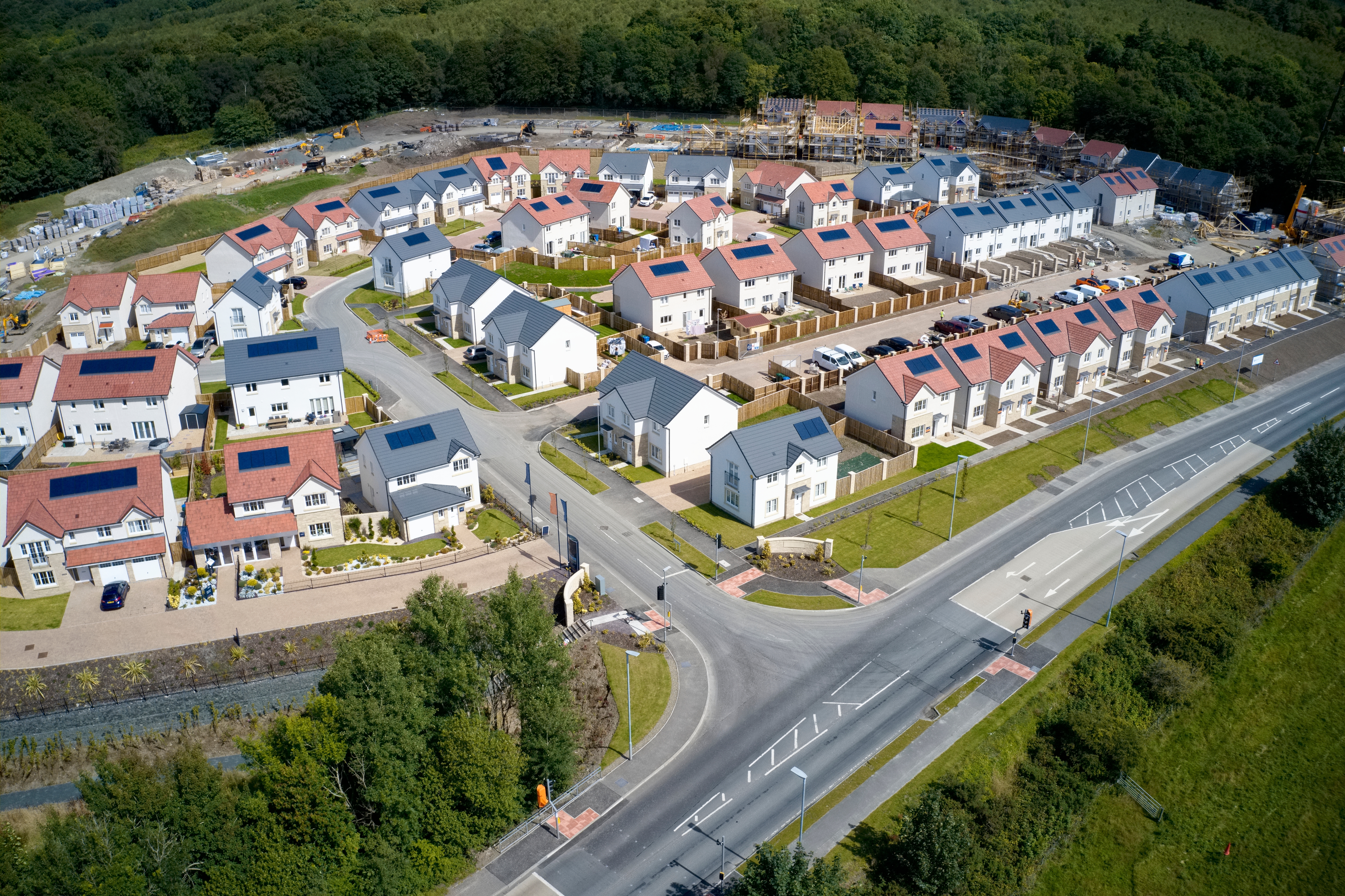 Dozens of nearly identical homes being built in a new development